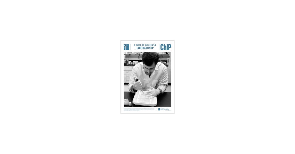 A Guide to Successful Chromatin IP