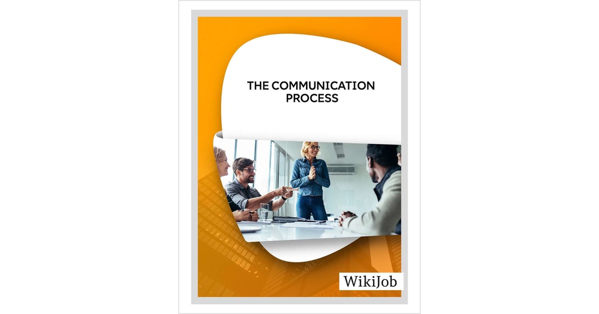 The Communication Process