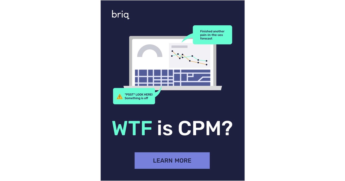 WTF is CPM software for Construction Financial Professionals?